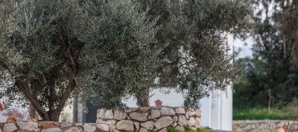 12 غرف نوم فيلا في Rethymno, Greece رقم 89776 27