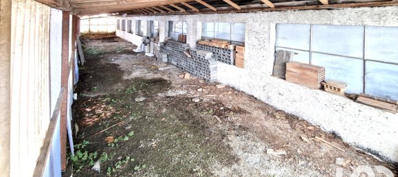 5غرفة منزل في Durlinsdorf, France رقم 43200 29