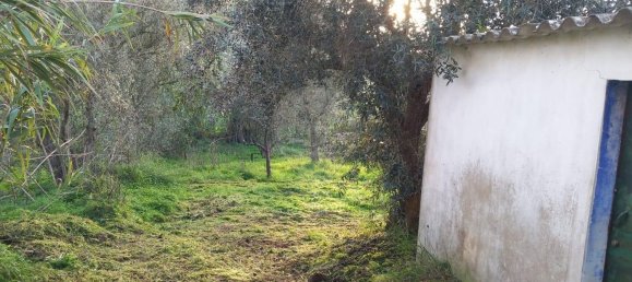3 Schlafzimmer Haus in Odemira, Portugal, Nr. 180913 3