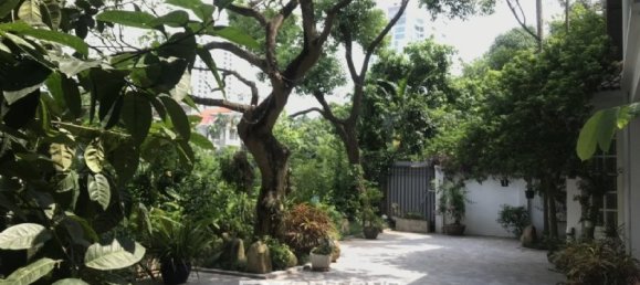 6 Schlafzimmer Villa in Tay Ho, Vietnam, Nr. 1019 28