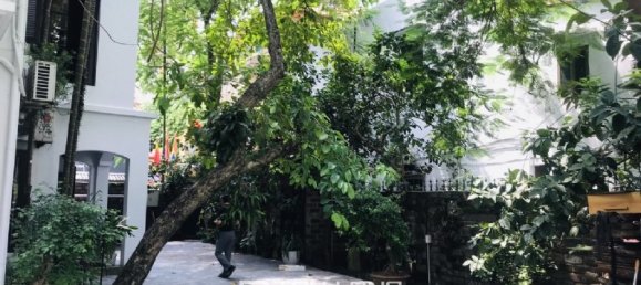 6 Schlafzimmer Villa in Tay Ho, Vietnam, Nr. 1019 26