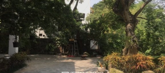 6 Schlafzimmer Villa in Tay Ho, Vietnam, Nr. 1019 18