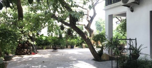 6 Schlafzimmer Villa in Tay Ho, Vietnam, Nr. 1019 24