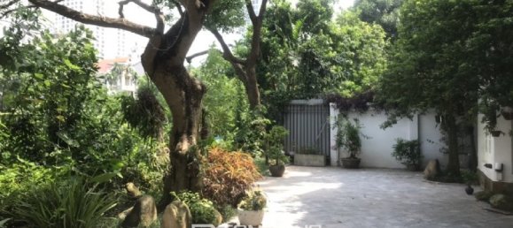 6 Schlafzimmer Villa in Tay Ho, Vietnam, Nr. 1019 29