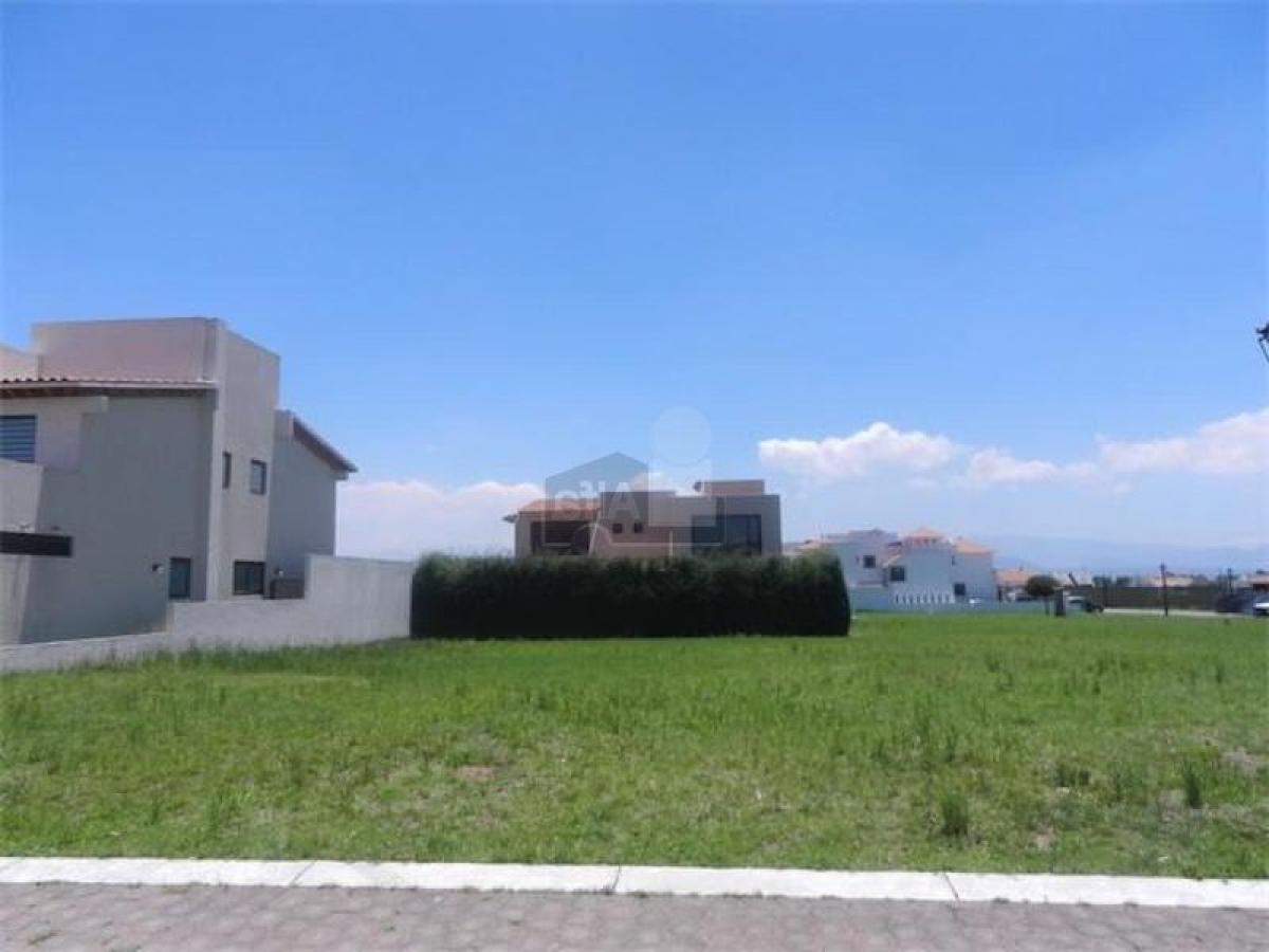  Land in Mexico No. 206355