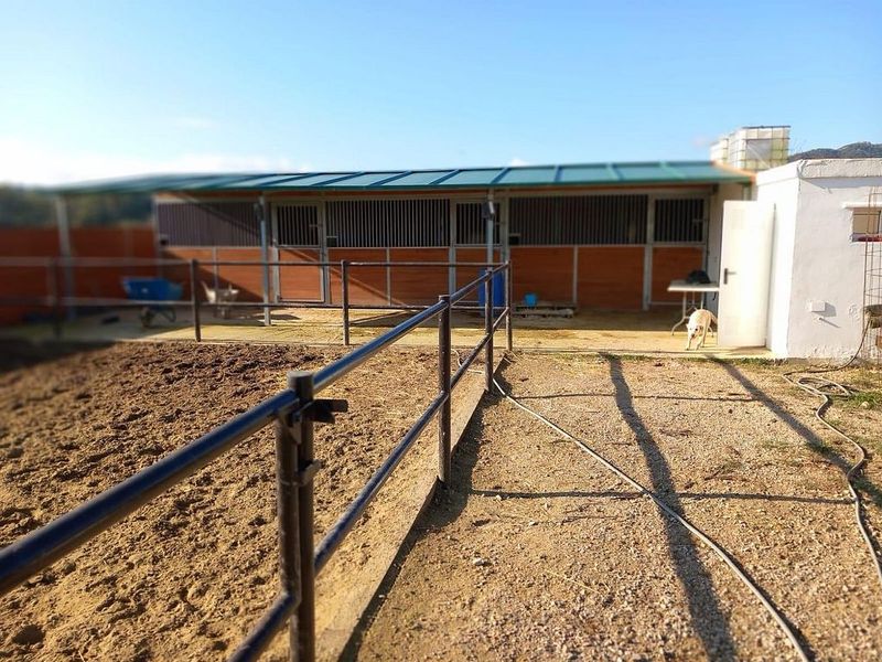 1000m² Land in Jimena de la Frontera, Spain No. 227376