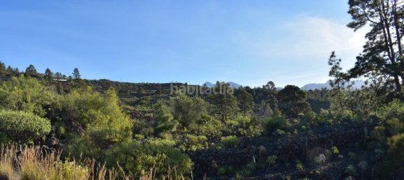 Terrain à Santiago del Teide, Spain 1800m² No. 191524 2
