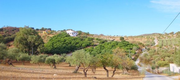 5 Schlafzimmer Haus in Coin, Spain, Nr. 125775 7