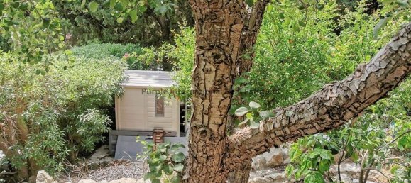 3 bedrooms Villa in Tala, Cyprus No. 3677 22