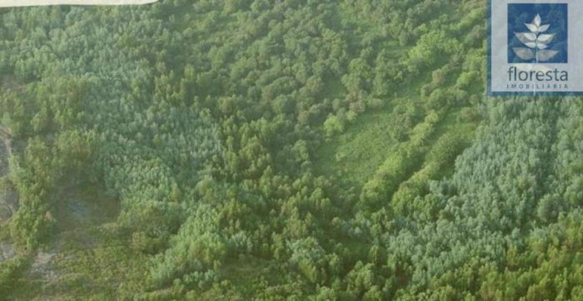  Land in Braga, Portugal No. 8829