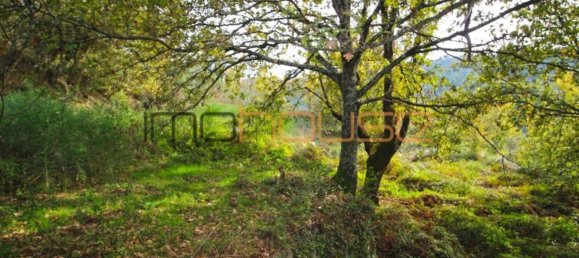 3 Schlafzimmer Haus in Amarante, Portugal, Nr. 145246 19