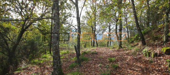 3 Schlafzimmer Haus in Amarante, Portugal, Nr. 145246 25