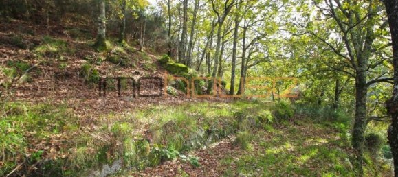 3 Schlafzimmer Haus in Amarante, Portugal, Nr. 145246 29