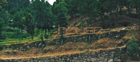 3 Schlafzimmer Haus in Amarante, Portugal, Nr. 145246 42