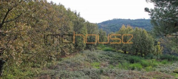 3 Schlafzimmer Haus in Amarante, Portugal, Nr. 145246 15