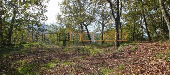 3 Schlafzimmer Haus in Amarante, Portugal, Nr. 145246 22