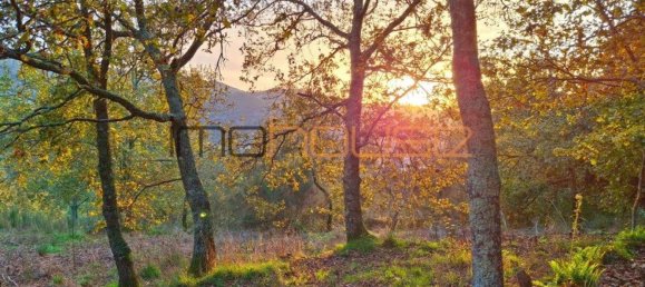 3 Schlafzimmer Haus in Amarante, Portugal, Nr. 145246 4