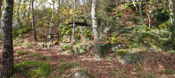 3 Schlafzimmer Haus in Amarante, Portugal, Nr. 145246 24