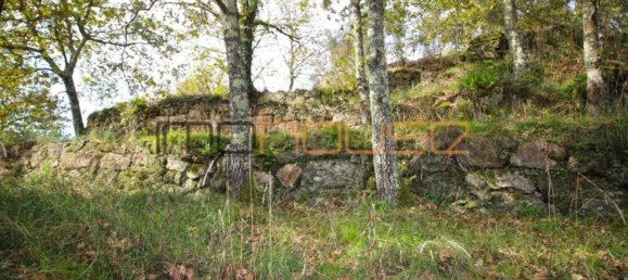 3 Schlafzimmer Haus in Amarante, Portugal, Nr. 145246 21