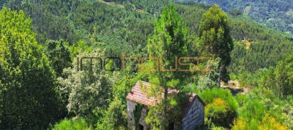 3 Schlafzimmer Haus in Amarante, Portugal, Nr. 145246 31