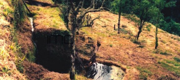 3 Schlafzimmer Haus in Amarante, Portugal, Nr. 145246 41