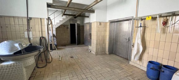 Здание с 7 комнатами в Кассель, Германия № 258561 15