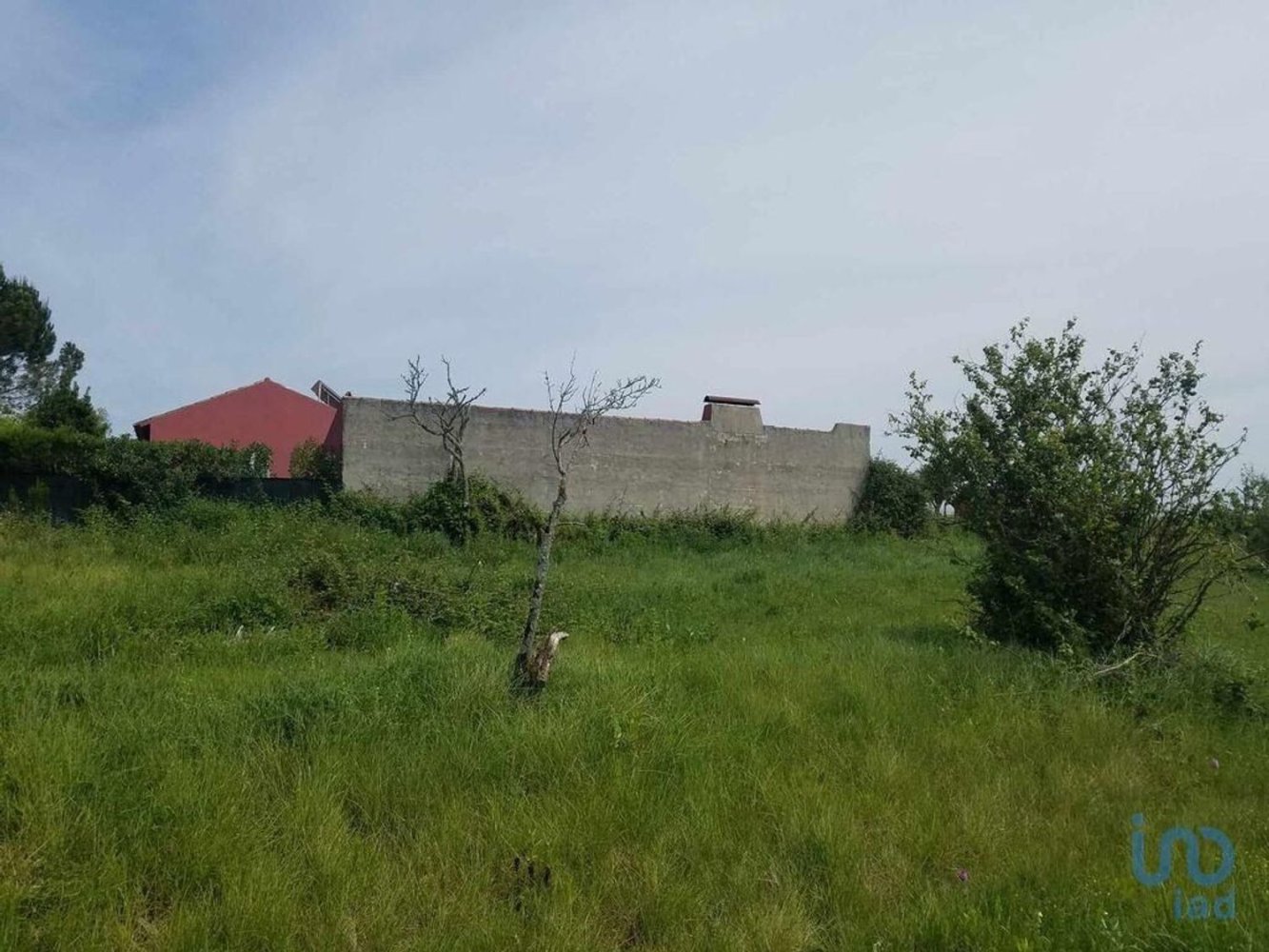 Terrain à Bombarral, Portugal 5880m² No. 312092