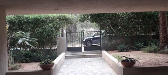 Maisonnette à Marathon, Greece 360m² No. 3717 18