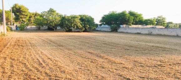 6-Zimmer Villa in Maruggio, Italy, Nr. 128848 10