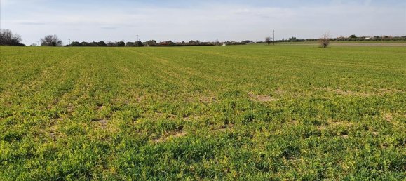 20000m² Hotel in Chalkidiki, Greece No. 4265 3