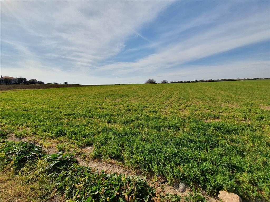 20000m² Hotel in Chalkidiki, Greece No. 4265