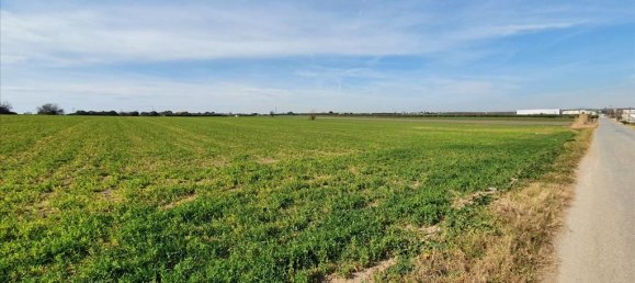 20000m² Hotel in Chalkidiki, Greece No. 4265 2