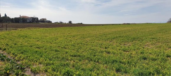 20000m² Hotel in Chalkidiki, Greece No. 4265 4