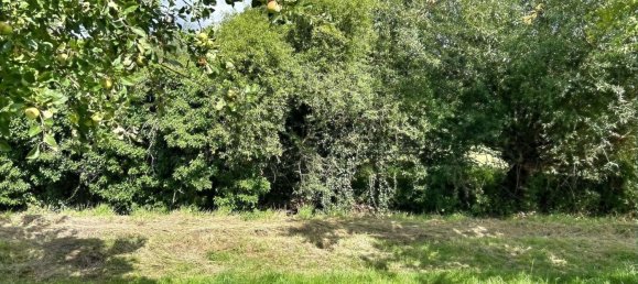 Бунгало с 4 комнатами в Вольфенбюттель, Германия № 261133 7