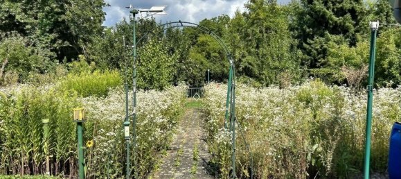 Бунгало с 4 комнатами в Вольфенбюттель, Германия № 261133 5