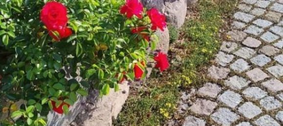 5غرفة منزل في Luneburg, Germany رقم 267150 30