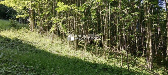 Terrain à Semmering, Austria 1719m² No. 166975 4