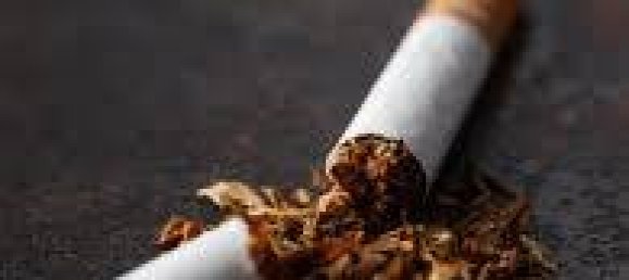 Propriété commerciale à Sesto San Giovanni, Italy No. 63124 3