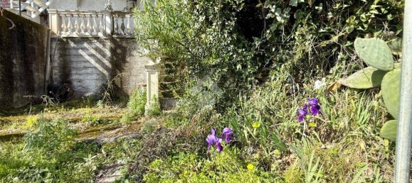 2 chambres Appartement à San Lorenzo al Mare, Italy No. 198532 40