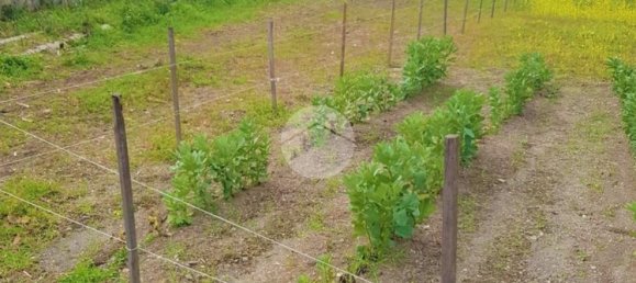 Studio in Pollena Trocchia, Italy, Nr. 149100 5