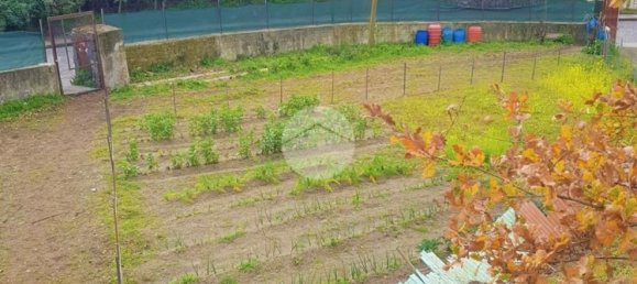 Studio in Pollena Trocchia, Italy, Nr. 149100 10