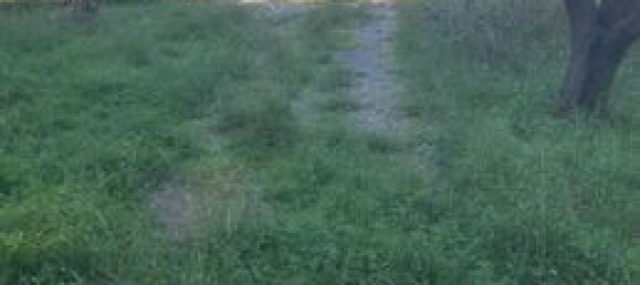 Terreno en Narbonne, France 1000 m² No. 312147 5