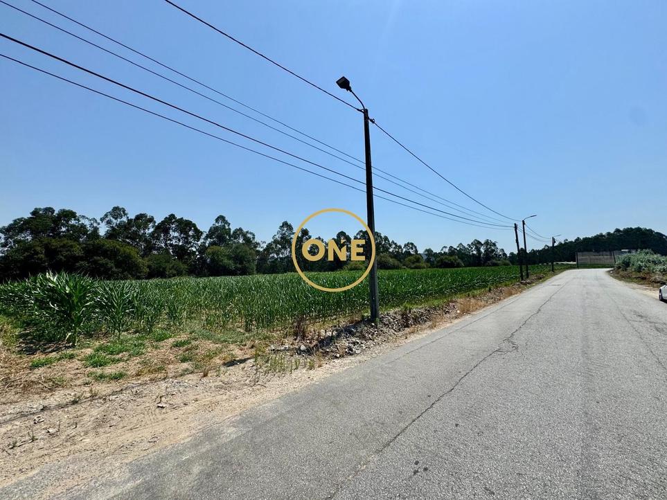 Terrain à Covelas, Portugal 27114m² No. 333872