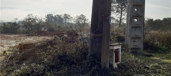 2500m² Land in Aljubarrota, Portugal No. 71301 2