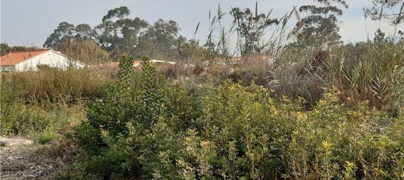 2500m² Land in Aljubarrota, Portugal No. 71301 3