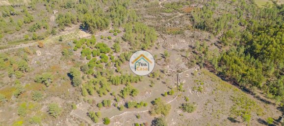 17110m² Land in Mangualde, Portugal No. 63923 7