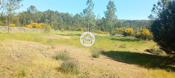 17110m² Land in Mangualde, Portugal No. 63923 27