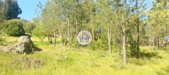 17110m² Land in Mangualde, Portugal No. 63923 28