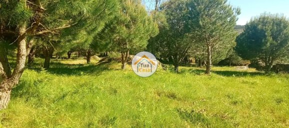 17110m² Land in Mangualde, Portugal No. 63923 34