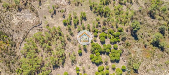 17110m² Land in Mangualde, Portugal No. 63923 2